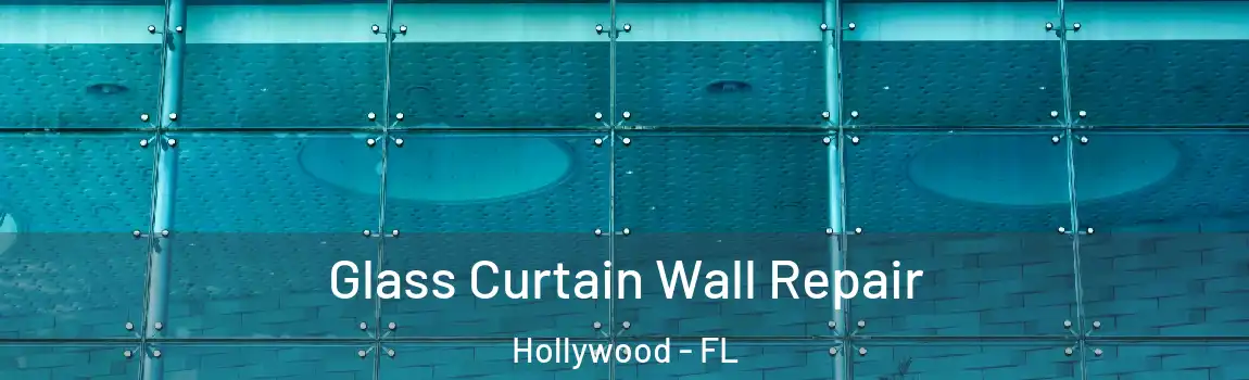  Glass Curtain Wall Repair Hollywood - FL