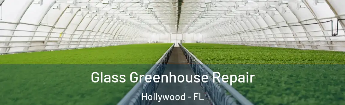  Glass Greenhouse Repair Hollywood - FL