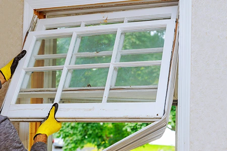 Window Replacement in Hollywood, FL