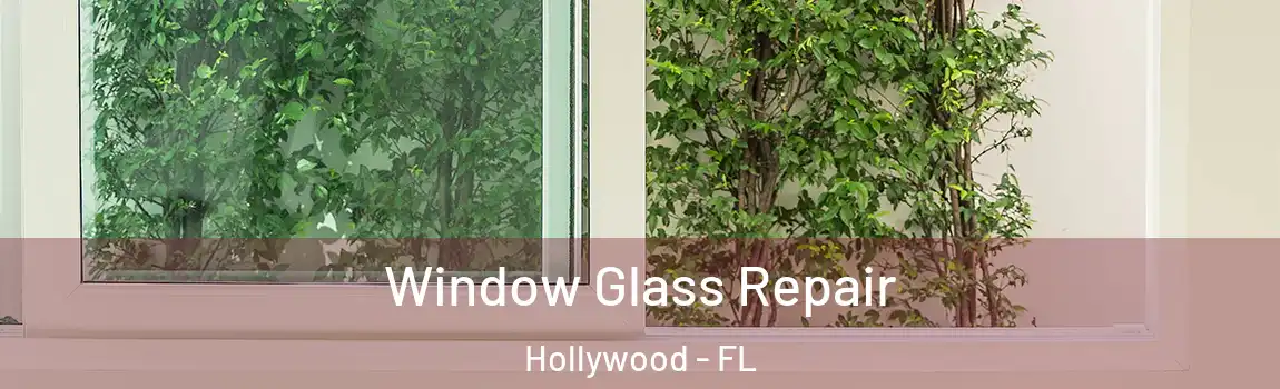  Window Glass Repair Hollywood - FL