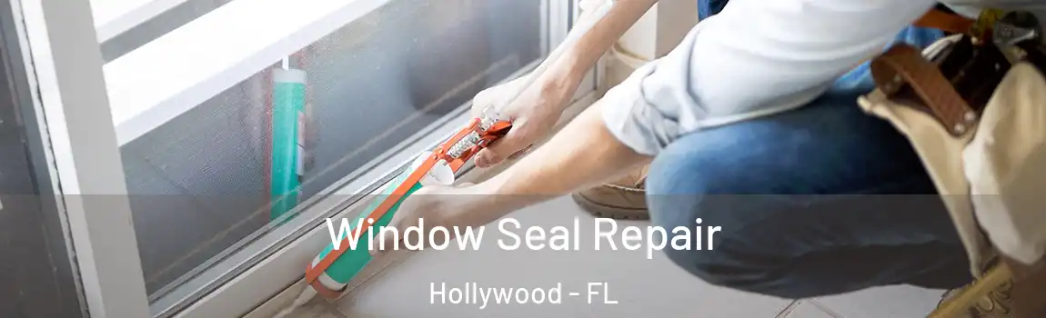  Window Seal Repair Hollywood - FL